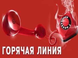 горячая линия