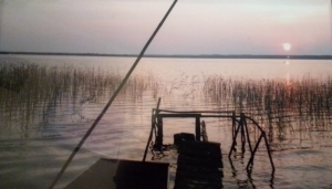 image007