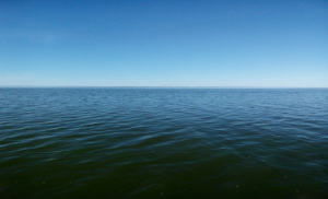 image009