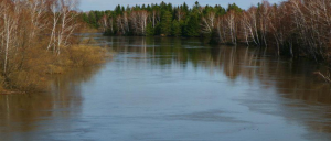 image014