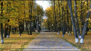 парк